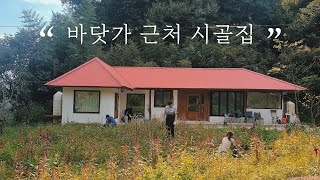 [멀리브이로그] 바닷가 근처 시골집에서의 행복 / 리틀포레스트 같은 오도이촌 시골살이 브이로그 korea countryside life 4K