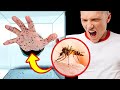 What Would Happen to Your Body If 1000 Mosquitoes Bite You?