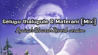 Gelupu Talupule & Materani  (Mix) Lyrical Slowed and Reverb version Sreerama Chandra| SPB