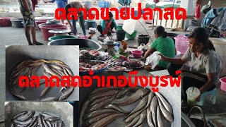 ขายปลาสด ตลาดขายปลา ตลาดสดอำเภอบึงบูรพ์ ตลาดบึงบูรพ์ ตลาดสดเทศบาลตำบลบึงบูรพ์ อำเภอบึงบูรพ์