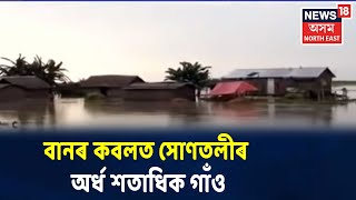 দক্ষিণ Kamrupত বানৰ তাণ্ডৱ, বানৰ কবলত সোণতলীৰ অৰ্ধ শতাধিক গাঁও