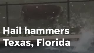 Hail storms in Texas, Florida hits cow, breaks storm chaser's window, and creates more damage