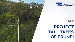 Project tall trees of Brunei by Dale, Teufelberger Ambassador in Brunei