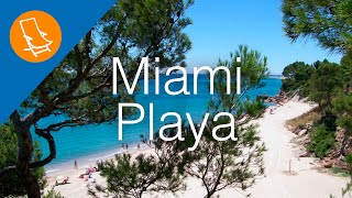 Miami Playa - Where the beach meets the forest