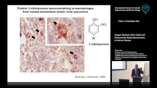 R. Radi - Oxygen Radicals, Nitric Oxide and Peroxynitrite: Redox Biochemistry in Human Disease