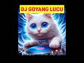 kucing Goyang DJ Lucu #kucing #kucinglucu #cat #catlover #kitten #cute #cutecat