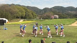 東京よさこい なな丸隊　川棚菜の花よさこい祭り2024