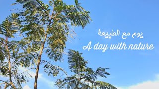 يوم شتوي في الطبيعة #شتاء_اليوتيوبرز| A day in nature 🌤🌾