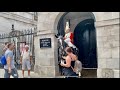 Lady Feeds The Guard Horse An Apple 🍏