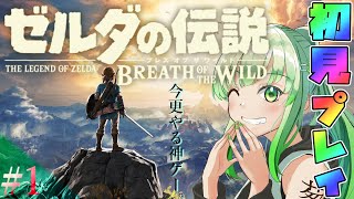 初回【 ゼルダの伝説BOTW 】今更やる完全初見ブレスオブザワイルド【 ゼルダの伝説 BREATH OF THE WILD 】