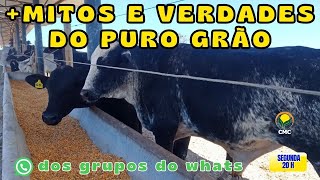 + Mitos e Verdades do Puro Grão