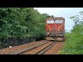 d19e 973 u0026 d11h 339 also container train run through tropical forest