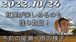 冬前の尾瀬ヶ原の様子！紅葉が楽しめるのも残り数日です！　【五十嵐Tube】