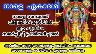 നാളെ ഈ പൂവ് സമർപ്പിച്ചാൽ ആയിരം സൂര്യ യാഗങ്ങളും ആയിരം അശ്വമേധ യാഗങ്ങളും ചെയ്ത ഐശ്വര്യം ലഭിക്കും.