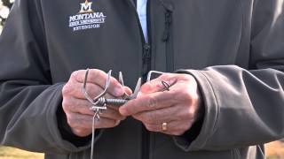 Setting a DK1 Gopher Trap