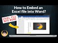 How to embed an Excel file into Word | How to Insert Excel Sheet in Word
