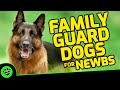 Top 5 Family Guard Dogs for First-Time Owners: How to Choose a Family Guard Dog