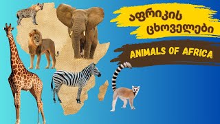 აფრიკის ცხოველები - African Animals