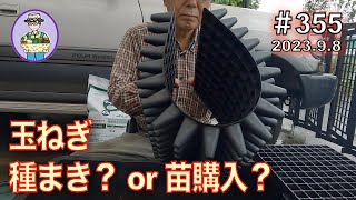 玉ねぎ苗が高騰！！玉ねぎ（超極早生）の種まき時期です。セルトレーと培土で簡単苗作り。　第355話 【オーガニック栽培】