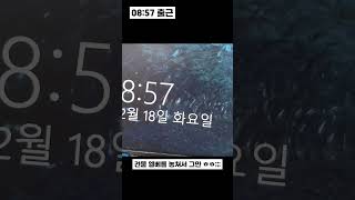 31살 직장인의 일상 2025.02.18 #브이로그 #직장인 #vlog