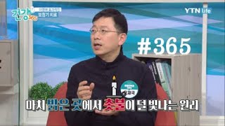 건강 365 [60회] 이명 / YTN 라이프