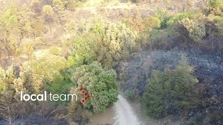 Incendi Sicilia, le immagini aeree dal drone: ingenti danni nel palermitano