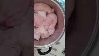 Pork intestines clean 돼지막창손질 2편