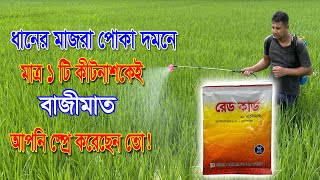 মাজরা পোকার জন্য 100% গ্যারান্টি । মাজরা পোকা দমন হবেই, একবার ব্যবহার করুন ।