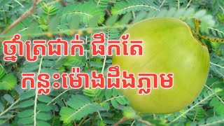 ថ្នាំត្រជាក់ ថ្នាំខ្មែរ