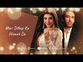 meri shehzadi drama full ost lyrics asim azhar meri dillagi ka hisaab de song merishehzadi