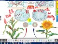 永中立哥生物教室4 1 1植物的運輸構造