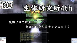 RO 金策　生態研究所4th　ソロ魔猫