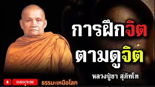 การฝึกจิต ตามดูจิต | หลวงปู่ชา สุภัทโท อานาปานสติ ธรรมะ ฟังธรรมะก่อนนอน ธรรมะสอนใจ