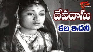 Old Songs| Devadasu Movie | Kala Idhani Song | ANR | Savitri - OldSongsTelugu