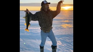 Rut Daniels - Walleye