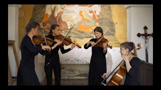 Sonus Cordis Quartet in the Television