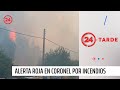 Alerta Roja en Coronel por incendio forestal | 24 Horas TVN Chile