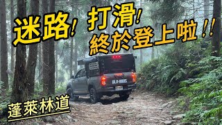 驚險打滑&迷路終於順利上來啦!!|蓬萊林道|野營|車泊|遇見雲海