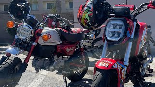 HONDA MONKEY 2023 | wheelie progression