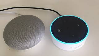 Alexa Echo talks to Google Home (Demo)