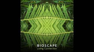 09 Bioscape - Nature Essence