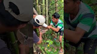 Baby Bird's Nest and Unexpected 