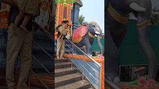 ఏనుగమ్మ ఏనుగు 🐘😍.@SaisaWorld4566 #elephant #lion #entertainment #enjoyment #telugushorts #rhymes