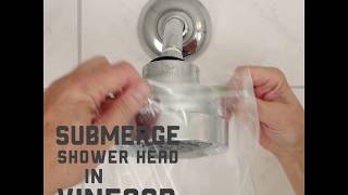 How To Clean Your Showerhead | Roto-Rooter