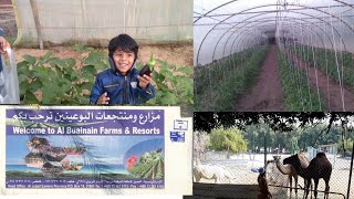 Al Buainain Farm\u0026Resort in Jubail | Weekend Vlog in Tamil | Place to visit in Saudi Arabia|SPICE HUT