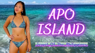 APO ISLAND - Jewel of the Philippines