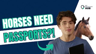 Horses Need Passports?! 🐴 Weird But True Facts! | MyPassportHub Legit Explained
