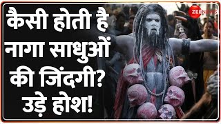 Mahakumbh Mela 2025: कैसी होती है नागा साधुओं की जिंदगी? उड़े होश! | CM Yogi | Prayagraj | Naga Sadhu