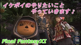 イケボイのやりたいことをやっていきます♪(FF11)