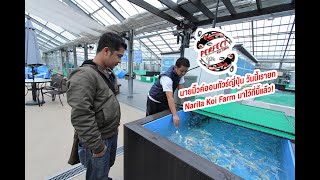 นายมิ้วค์ออนทัวร์ญี่ปุ่น วันนี้เรายก Narita Koi Farm มาไว้ที่นี้แล้ว!